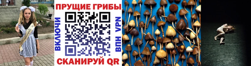 Псилоцибиновые грибы Magic Shrooms  как найти наркотики  Фатеж 